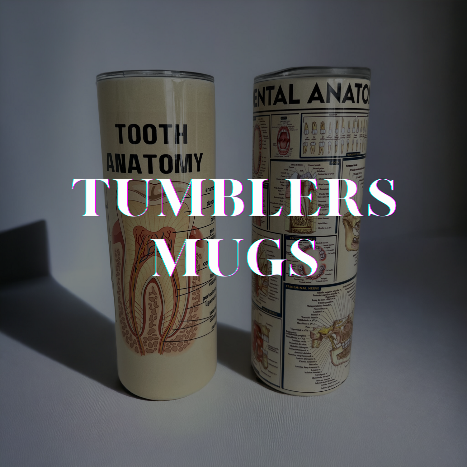 TUMBLERS & MUGS