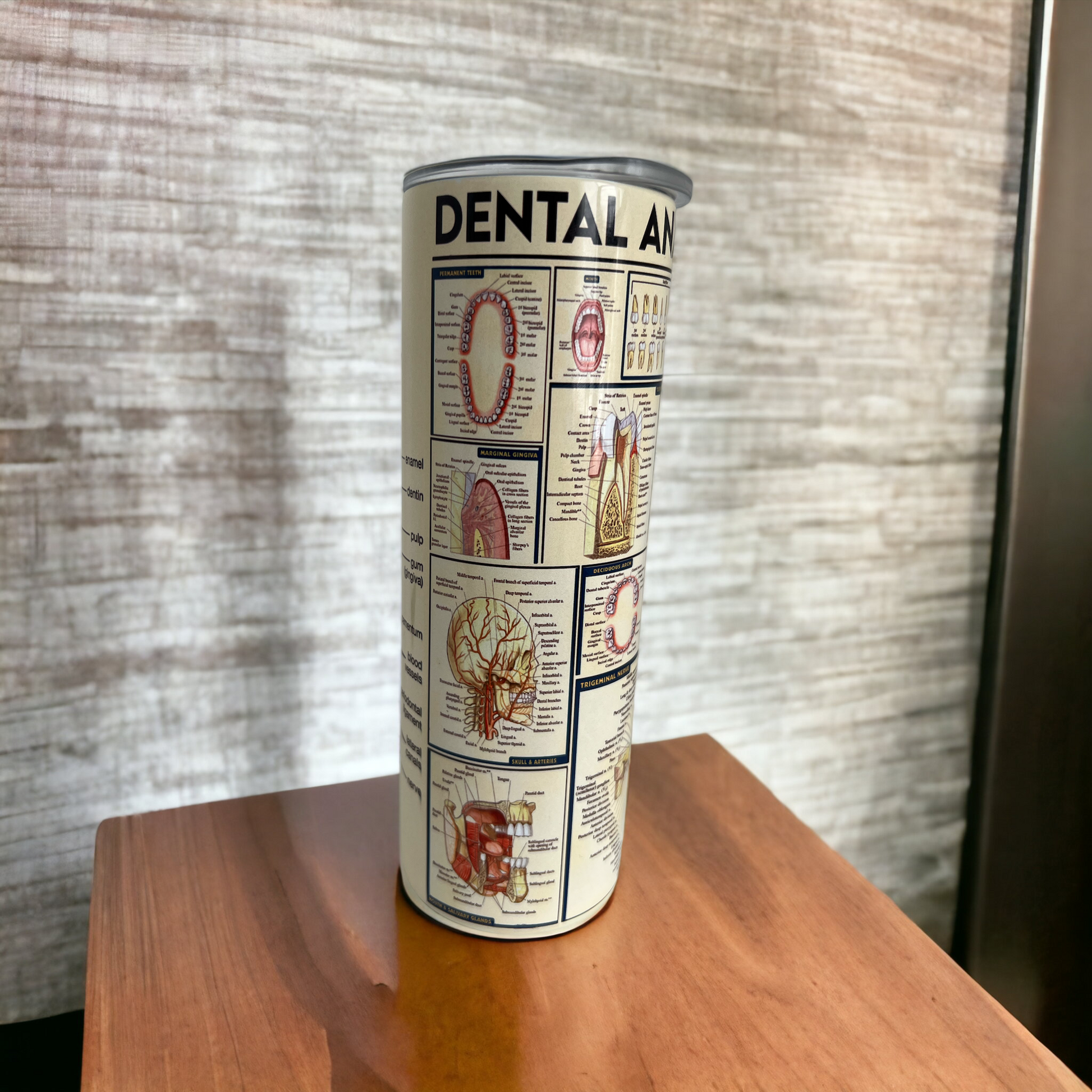 Dental Anatomy Vintage Look Tumbler - Dental Crazed