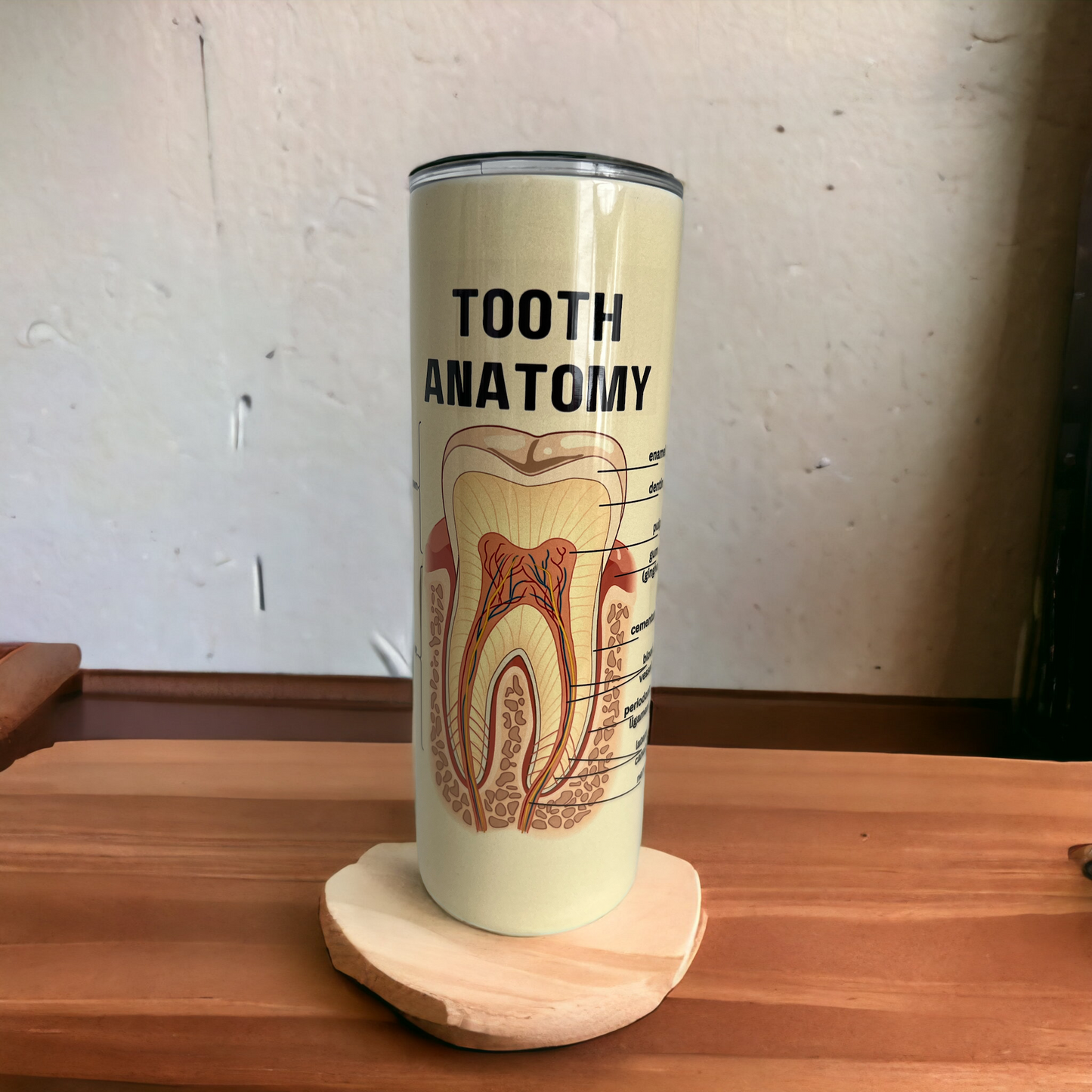 Dental Anatomy Vintage Look Tumbler - Dental Crazed