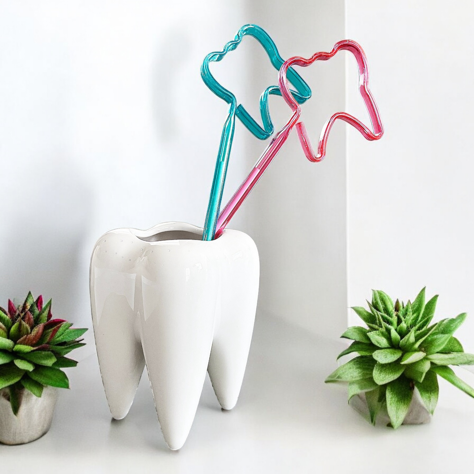 tooth succulent pot Tooth-Shaped Planter – Dental Crazed